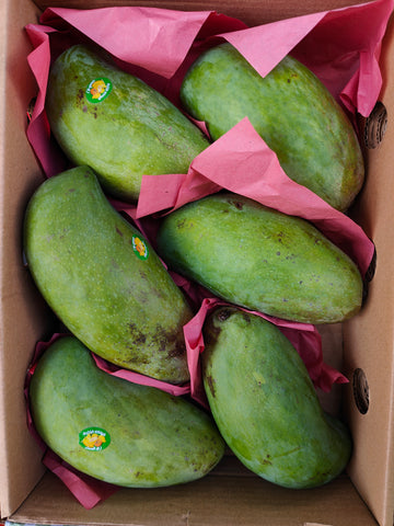 Frische Mangos (Sediqa) 3kg