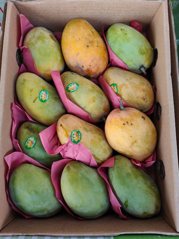 Frische Mangos (Ewisi) 3kg