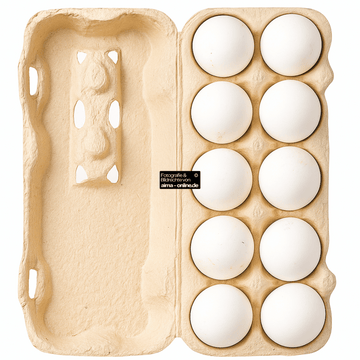 10 Frische Eier