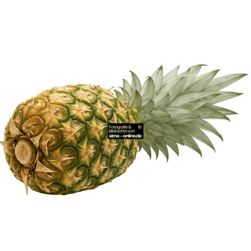 Ananas, 1 Stück