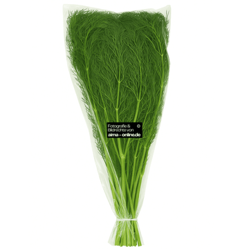 Dill (frisch, im Bund) - Dere Otu (taze)