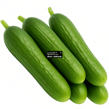 Mini Gurken 500g