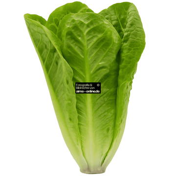 Römersalat, 1 Stück
