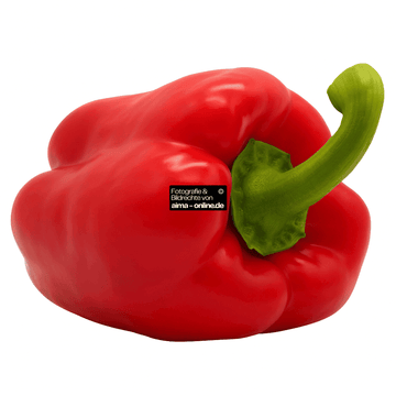 Rote Paprika, 1 Stück
