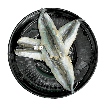 Sardellen 100g