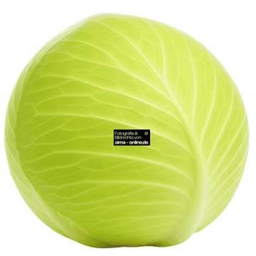 Türkischer Weißkraut (Lahana), 1 Stück