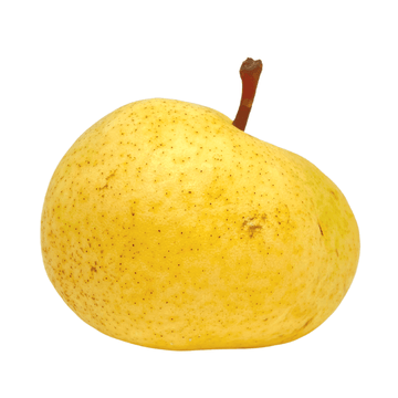 Birne Berg Deveci, 1 Stück