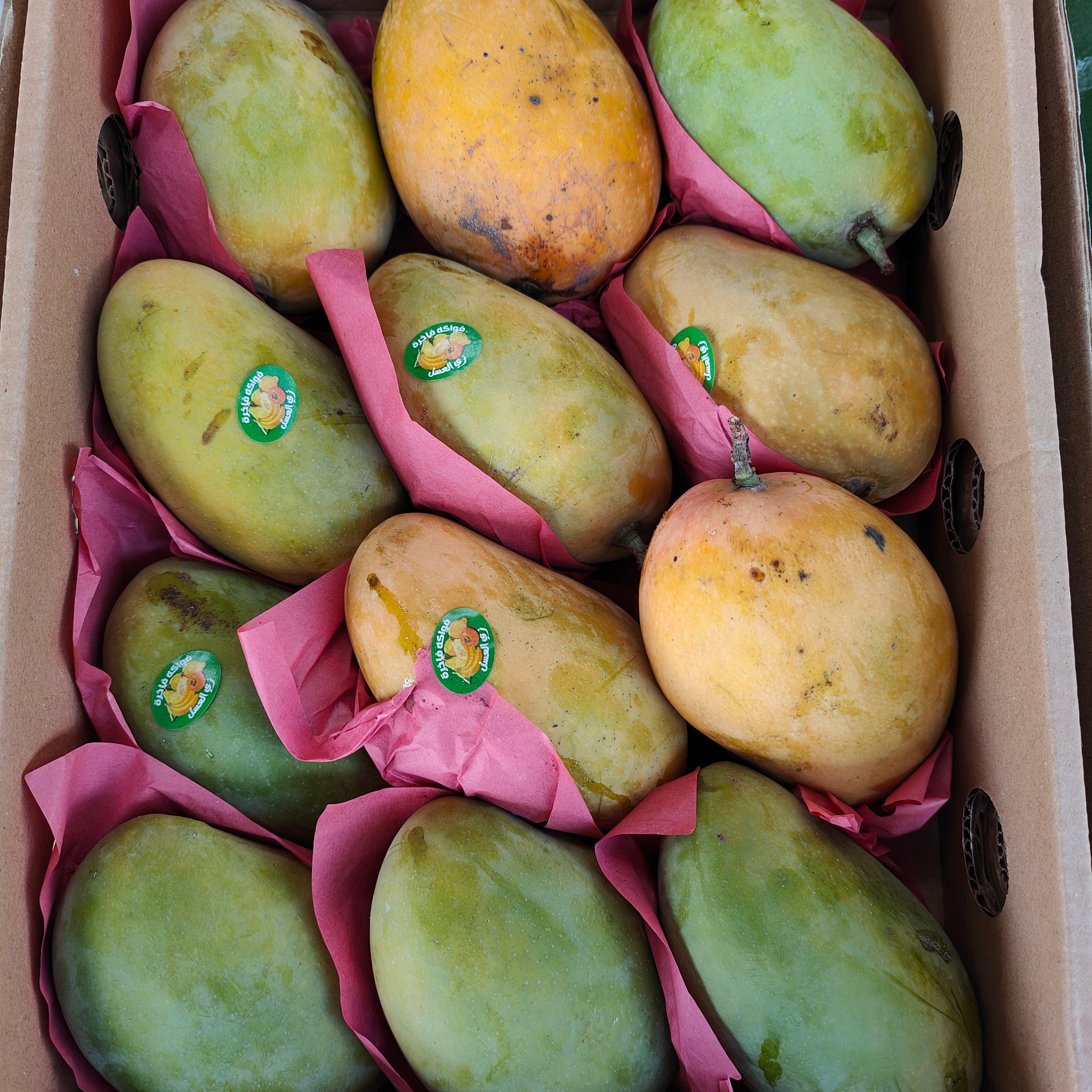 Frische Mangos (Ewisi) 3kg